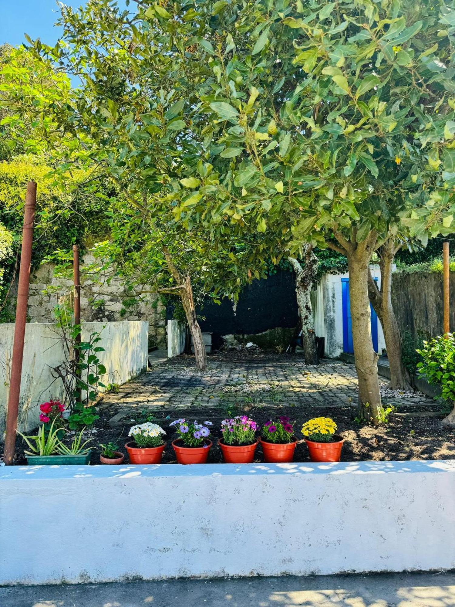 Porto Grand Sasimi House Otel Dış mekan fotoğraf
